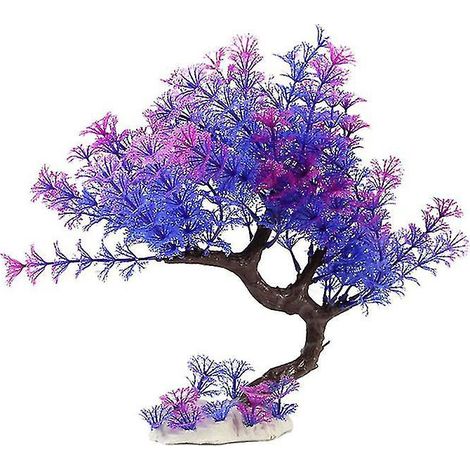 1 plante d'aquarium (1/3)
