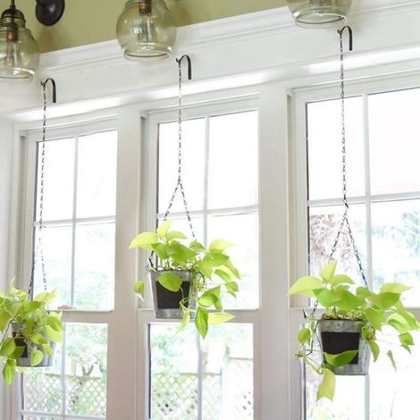 Crochets Murailles en Fer, 10 Pièces,Crochets pour Plantes Suspendues,avec Vis,Noir,Pour Jardin, Décoration Intérieure Extérieure (1/4)