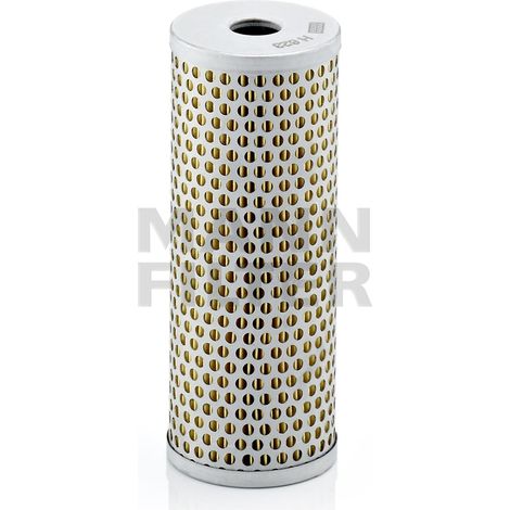 Iveco Stralis Servolenkungsfilter (1/2)