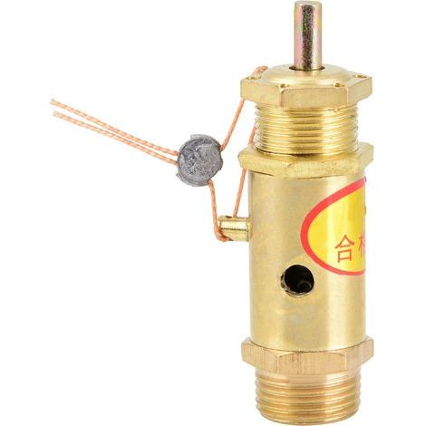 Soupape de sécurité de décharge de pression pour compresseur d'air G3/8 pour générateur de vapeur de chaudière (10 kg) (1/5)