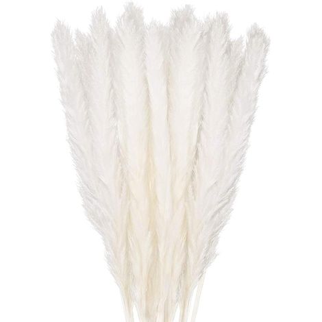 Dried Pampas Grass Decoration Set of 30, Decorative Flower Bouquet for Home Vase, Pampas Feather Grass 45cm Decorative Plant Decoration Table, Bedroom, Balcony, Wedding, Hotel, Beige(45cm)
