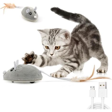 Jouet interactif de chat Jouet chat électrique ®WHD© Souris Jouet USB Intelligente mobile Exercice pour Chat avec Plumes Recharge-Ywey (1/3)