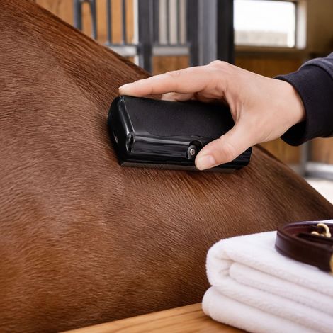 Grattoir à sueur pour cheval, brosse en acier inoxydable avec poignée antidérapante ABS/TPR, nettoyage boue et poils, noir (1/5)