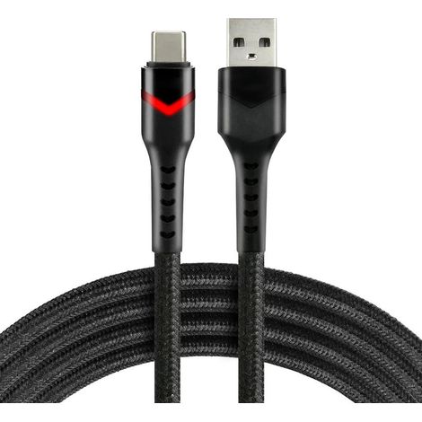 Câble USB vers USB-C everActive CBB-1CBR 1 m 3 A LED RGB noir (1/2)