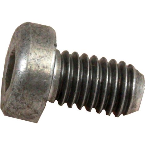 Wolf Zylinderschraube M6X10-AL DIN 7984