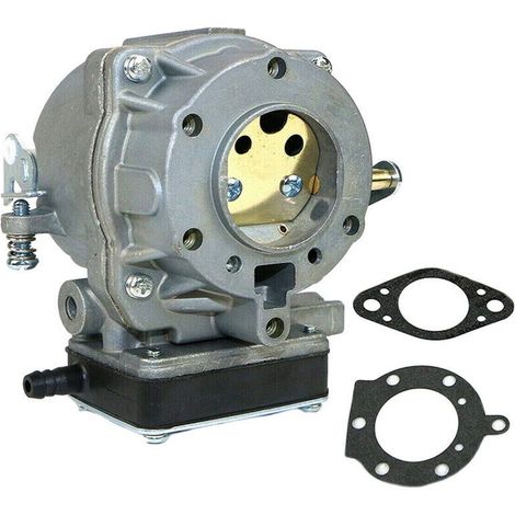 Carburateur Briggs & Stratton pour modèles 693480/694026/495181/499306/394505 - Compatible moteurs 5-6.75 CV, tondeuse, motoculteur (1/4)