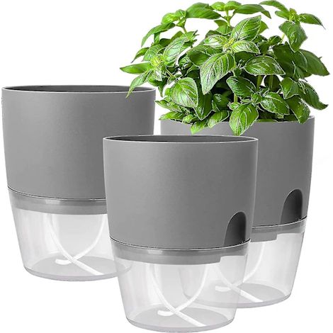 Filiyano-Ensemble de 3 pots à épices pour rebord de fenêtre avec système d'arrosage automatique, idéal pour cultiver des herbes aromatiques fraîches (1/5)