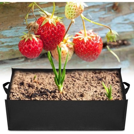1 sac carré pour la plantation de légumes et de fraises, pour jardin, fleurs et pépinière (L 603020cm) (1/5)