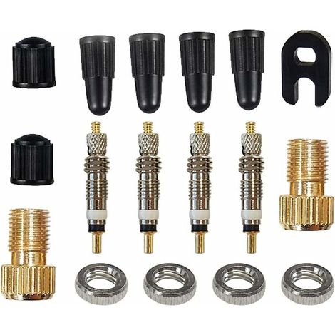 17 Adaptateurs de valve pour vélos : Bouchons de valve, bouchons Presta pour vélos, vélos électriques, trottinettes électriques et gonflage à la pompe standard (Or) (1/4)