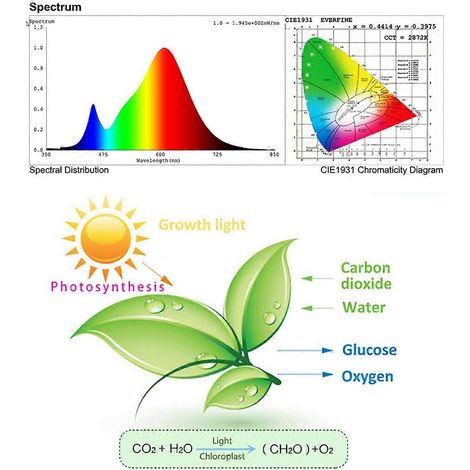 Lampe de croissance LED à spectre complet pour plantes, 100 W, avec prise secteur. (1/5)
