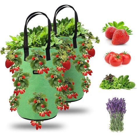 AIDUCHO 2er-Pack Erdbeer-Pflanzsäcke, Hängende Erdbeer-Pflanzsäcke für den Garten mit 13 Löchern, Pflanzsäcke für Erdbeeren, Kräuter, Tomaten - 3 Gallonen (2 Stück - Grün) (1/5)