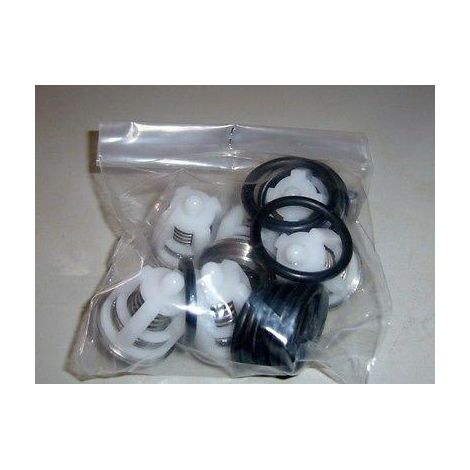 KIT VALVOLE  OR POMPA IDROPULITRICE LAVORWASH SUNDEK LKX TEKNA 3.555.0028 (1/2)