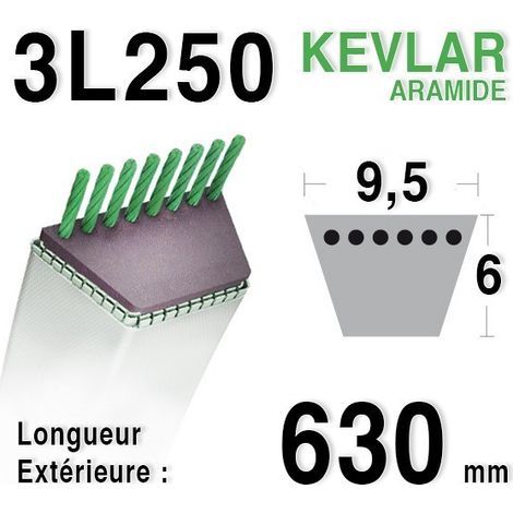 Courroie 3l25 - 9,5 mm x 630 mm