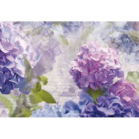 Komar Fototapete Otaksa 368 x 254cm Hortensie Papiertapete Blumentapete (1/2)