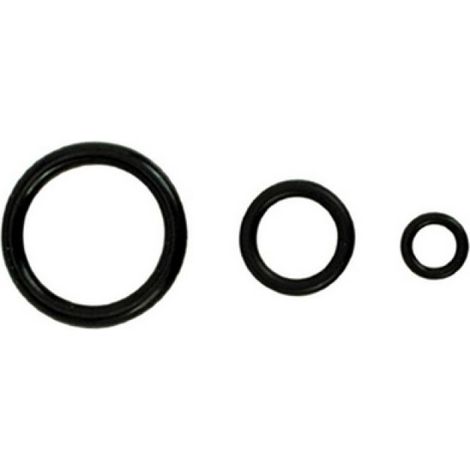 ANELLI O' RING 8.9 x 1.9 mm (Pz.100)