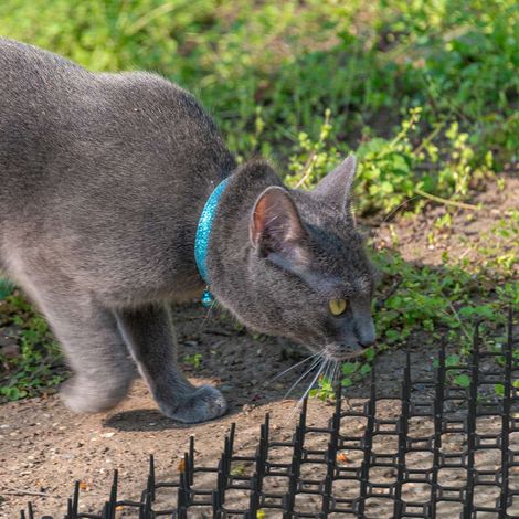 Katzenabwehr spikematten 20er set fur den garten