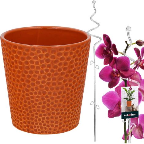Set di vasi color senape scuro da 11 cm con supporto trasparente, vaso a spirale da 58 cm, supporto per piante, set per orchidee