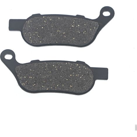 Bremsbeläge FA254 passend für Harley-Davidson XL883/XL1200, Kawasaki (1/5)