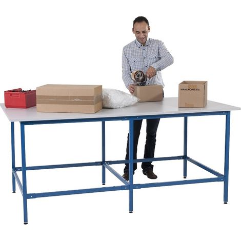 PROVOST - Table de travail modulable Provost - 2500 mm x 1000 mm - Structure acier et plateau mélaminé gris