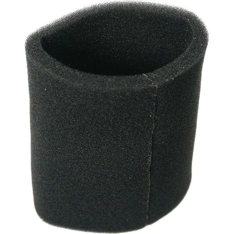 Filtro in Schiuma per aspirapolvere Rowenta Bullo, Insaziabile, Vorace Compatto, RS-RU3712-1 Filtro (1/5)