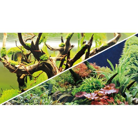 Hobby Fotorückwand Green Secret / Wood Island - 100 x 50 cm (1/2)