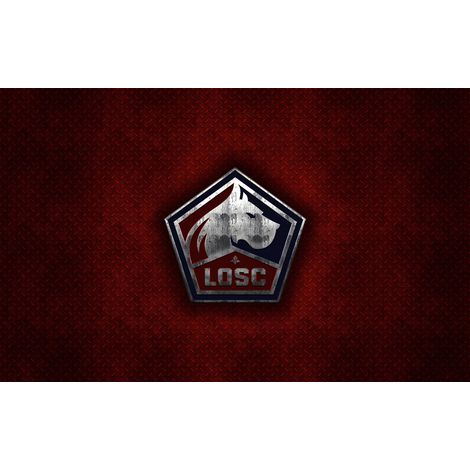 Papier peint panoramique Foot / Football - LOSC - Lille - 195 cm x 122 cm (1/2)
