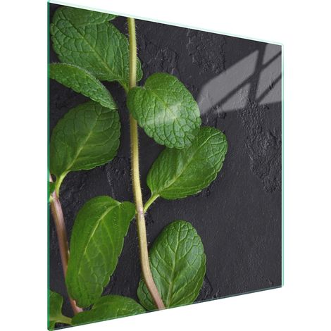 PLACA PROTECTORA DE VIDRIO PARA ESTUFA 50x52 MENTA (1/5)