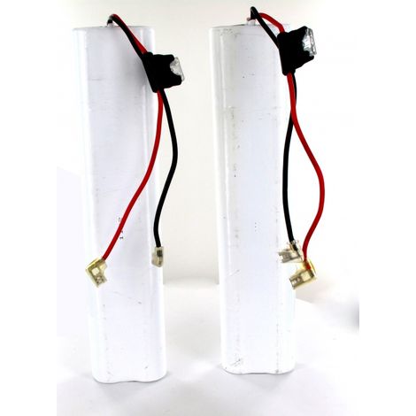 Exalium Premium – Lot de 2 batteries 12V 4.5Ah NiCd pour monte-escaliers Acorn 180 et Bison 80 – Solution sécurisée et fiable