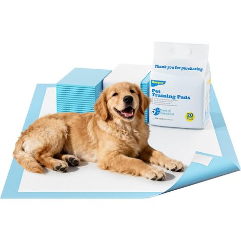 Alaise Jetable pour Chien 60 x 60 cm – 40 Pièces, Tapis de Propreté Anti-Fuite pour Chiot, Absorption Rapide et Séchage Express (1/4)