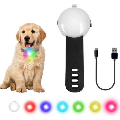 Collier Lumineux Chien LED Pendentif Lampe Chien led Rechargeable étanche 4 modes de changement de couleur réglable sur la laisse de collier pour la marche nocturne, la course, le camping, le cyclisme (1/5)