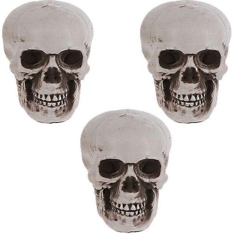 Têtes de mort réalistes (lot de 3) - Décoration d'intérieur pour Halloween et anniversaires - 4 x 5,5 x 8 cm - Plastique