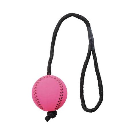Trixie Pelota de Deporte con Cuerda