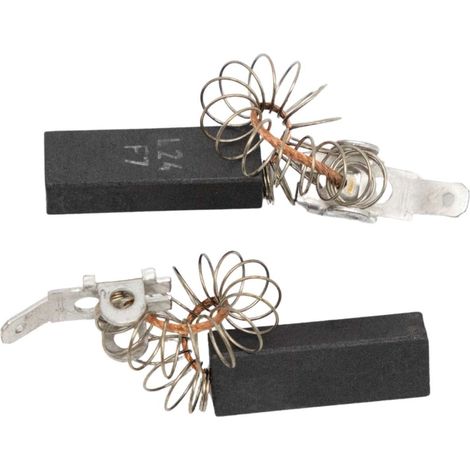 Charbons moteur (x2) compatible