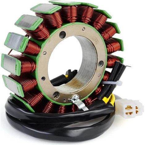 T1305502 and T1300076 stator coils are suitable for Triumph Bonneville T1000, 900, and 800. (1/4)