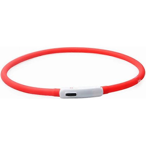 Collier de sécurité pour animaux de compagnie, lampe torche rechargeable, lumière vive, réglable (1/4)