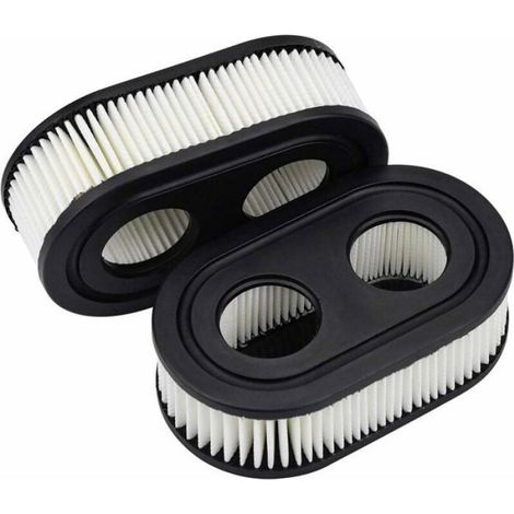 Lot de 2 Filtres Air pour Tondeuse Gazon Briggs Stratton 550E-550EX (1/4)