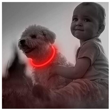 Collier LED rechargeable par USB pour chien, pour une sécurité nocturne optimale - Collier lumineux tendance pour chiens de petite, moyenne et grande taille (1 pièce, rouge, 50 cm) (1/5)