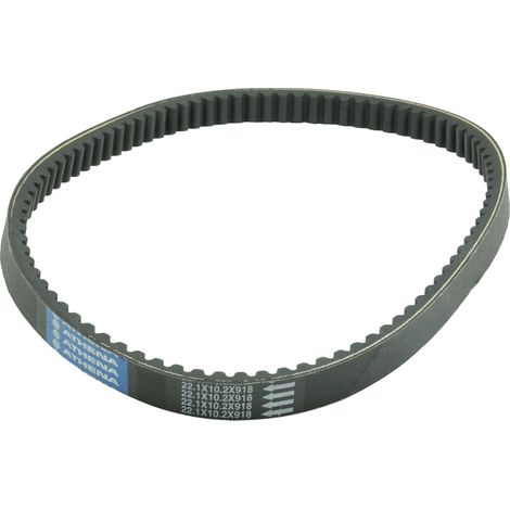 Cinghia di trasmissione ATHENA per Honda Dylan/NES/Pantheon/CF Moto Urban R 125/150 (1/2)
