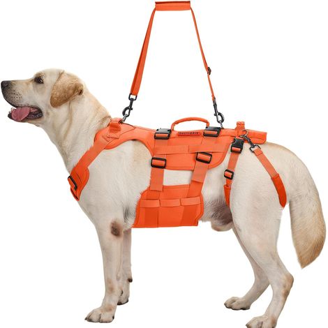 Harnais pour chien - Aide au transport pour chiens de taille moyenne et grande - Réglable - Avec 3 poignées - Pour chiens handicapés, blessés ou âgés - Orange - Taille L (1/5)