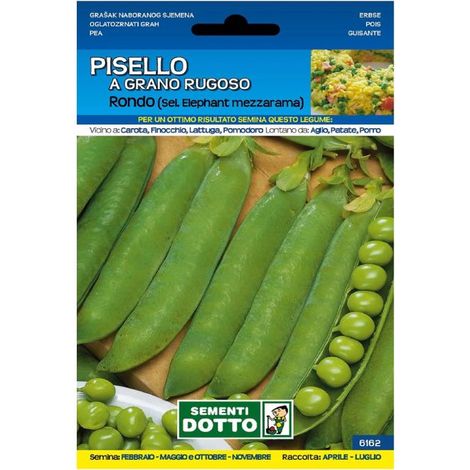 SEMENTI PISELLO A GRANO RUGOSO RONDO MEZZARAMA VARIETÀ PRODUTTIVA PER ORTO SEMIA (1/2)