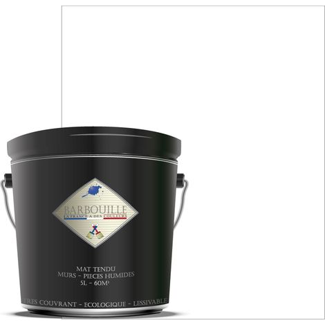 Peinture acrylique mat murs et plafonds 5L Blanc Titanium (1/3)