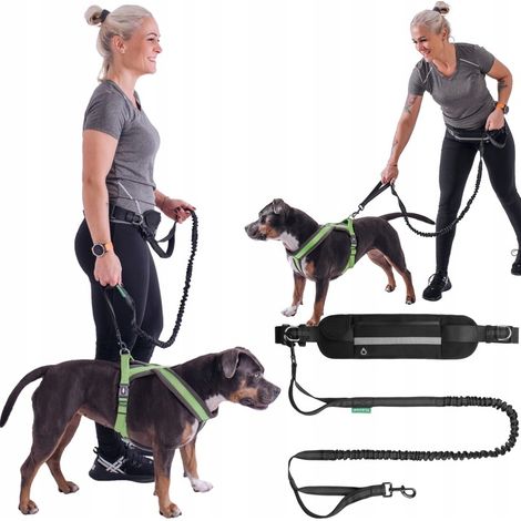 Ceinture ventrale avec laisse élastique pour courir avec un chien (1/5)
