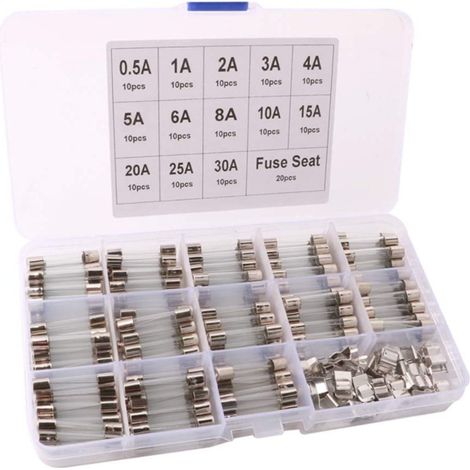 Lntyq 150-teiliges 6 x 30 mm professionelles flinkes Glasrohrsicherungsset für Autos: 130 flinke Glasrohrsicherung + 20 Sicherungssitz, mit transparenter Kunststoffbox