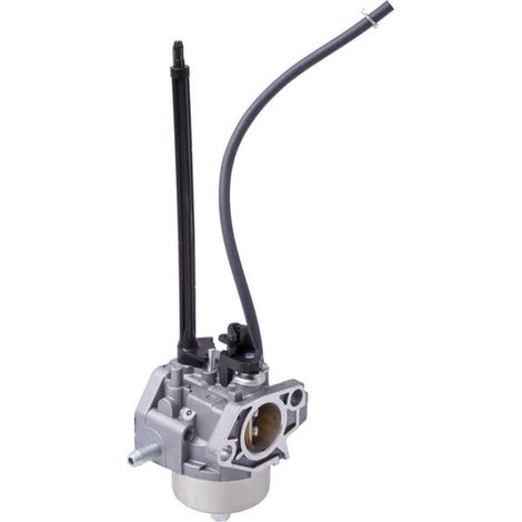 Carburatore trattorino rasaerba motore BRIGGS orizzontale 25D-25M137 spazzaneve (1/3)