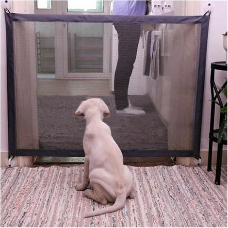 Barrière rétractable pour chien, barrière pour animaux de compagnie, barrière pour chien, barrière d'escalier pour chien, barrière magique pour chien 110 x 75 cm
