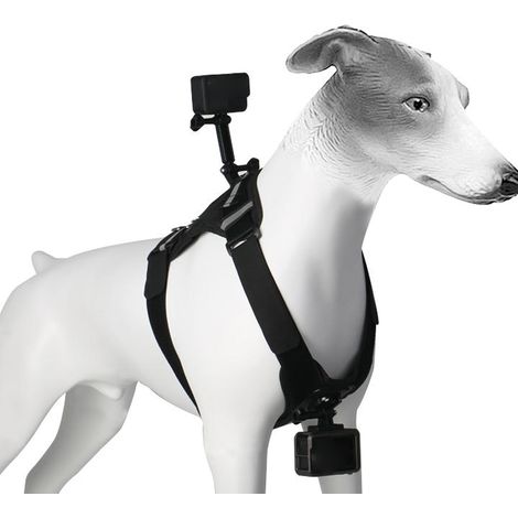 Harnais pour chien avec caméra d'action et support POV pour chiens de 8 à 35 kg, (1/5)