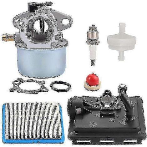 Carburateur 799868 avec embase de filtre à air 496116 795259. Compatible avec les modèles 124l02, 124t02, 124t05 et 124t07 du marché européen. (1/4)