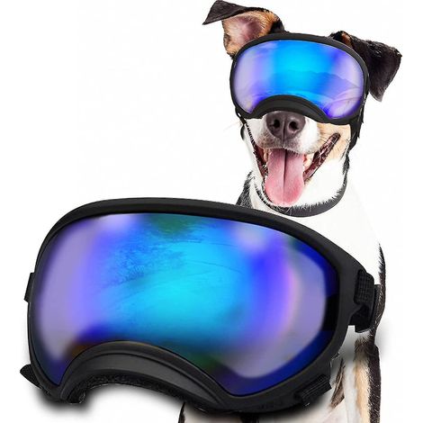 Lunettes de protection UV pour chien avec sangle ajustable, coupe-vent et antibuée, monture noire et verres bleus.