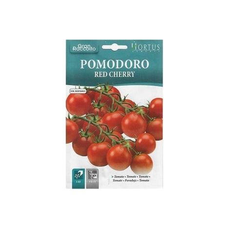 Pomodoro Red Cherry Gran Raccolto – süße, saftige Tomatenpflanze für Salate und Saucen