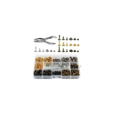 350 Rivets Cuir Set Double Casquette,Rivet Tubulaire Métal 3 Tailles Avec Punch Pince Et 3 Pièces Outils De Fixation Pour Cuir Réparation Rivets De Remplacement Décoration (1/4)
